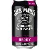 Jack Daniel's Whiskey & Berry 0,33L 2 Jack Daniel's Whiskey & Berry 0,33L -wine shop jack daniels berry 10 033l dpg
